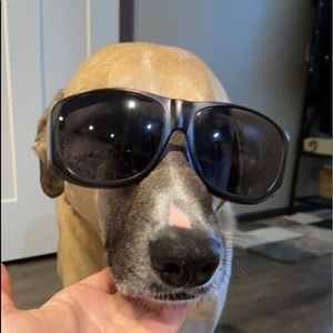 Meet your Posher, Gracie